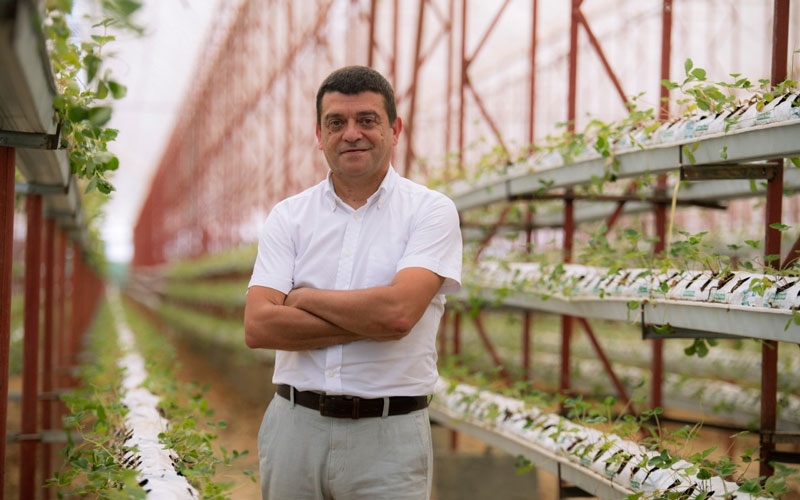 Dünya örtüaltı tarımı Antalya’da Growtech fuarında buluşacak