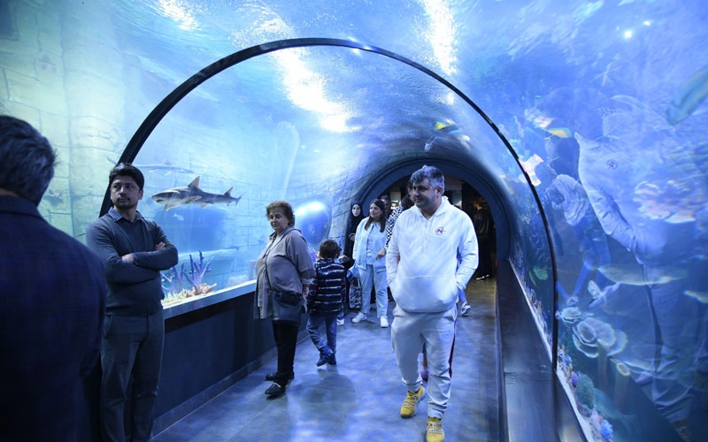  Tünel Akvaryum'un ziyaretçi sayısı 200 bini geçti