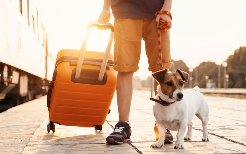 2023’ün popüler seyahat trendleri: Benzersiz tatiller