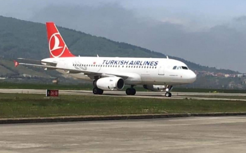 Yasak meyve koku detektörlerini harekete geçirdi, THY uçağı İstanbul'a geri döndü