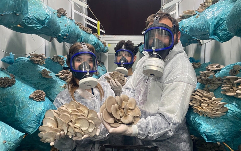 Hobi olarak başladığı mantar yetiştiriciliğinde günde 1 tona yakın hasat elde ediyor