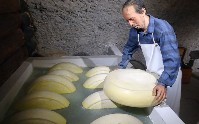 Peynir Müzesi turistlerin gözdesi oldu