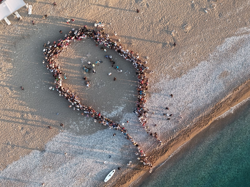 Antalya'da caretta caretta yavruları denizle buluştu