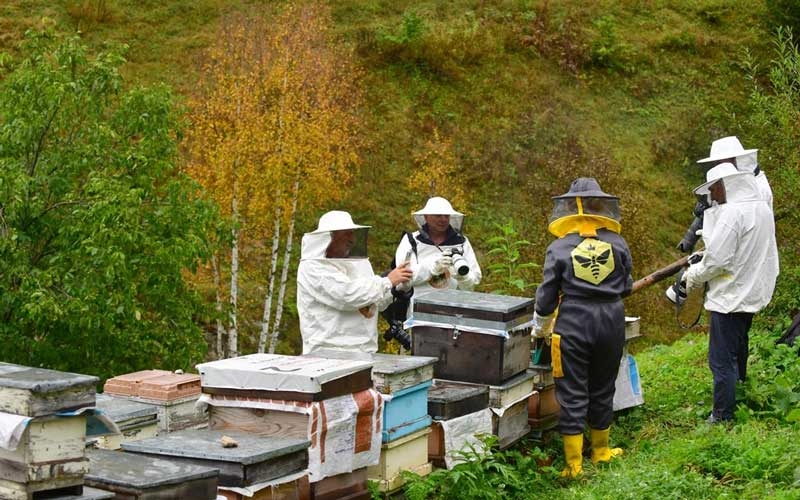 Artvin'de arıcılığı turizmle buluşturmak için rota belirleniyor