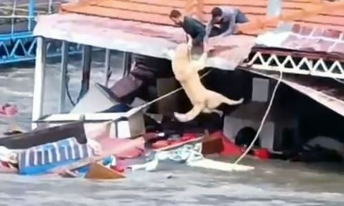 Taşan çaydaki turistik işletmeler yıkıldı