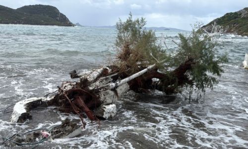 Bodrum sahili savaş alanına döndü