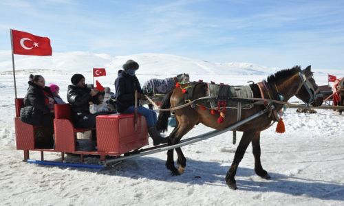 Donmuş Gölde atlı kızak safarileri nefes kesiyor