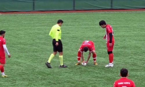 Maç esnasında top çarpan martıya kalp masajı yapıldı