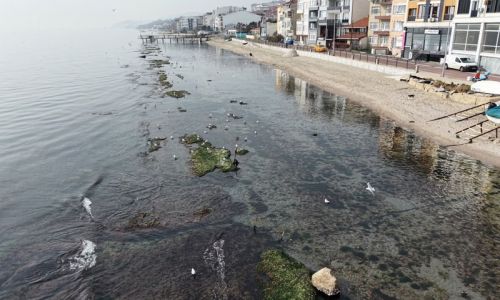Deniz çekildi 'Kral yolu' ortaya çıktı