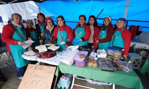 Bodrum Acı Ot Festivali'ne ziyaretçi akını