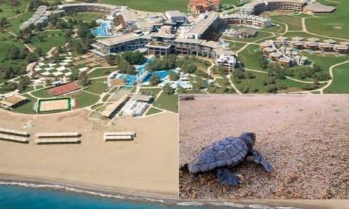 Antalya'daki 4 otele 'Kaplumbağa Dostu' sertifikası verildi