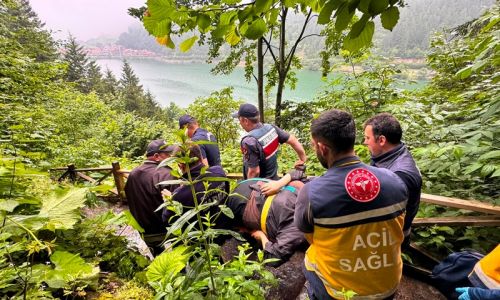 Uzungöl'de seyir terasından araç uçtu: 2 Arap turist yaralı