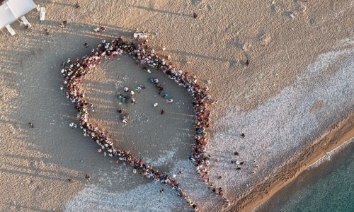 Antalya'da caretta caretta yavruları denizle buluştu