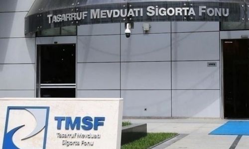 TMSF, kayyumdaki Nilüfer turizmi satışa çıkardı