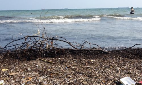 Mersin sahillerindeki kirlilik turizmi tehdit ediyor