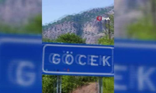 Bakan Kurum: 