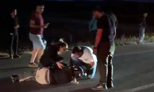 Avrupa turuna çıkan Fransız turist, koyunlara çarptı: 3 koyun telef oldu