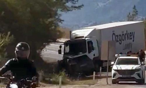 Cip ile kamyon kafa kafaya çarpıştı: Çinli turist hayatını kaybetti